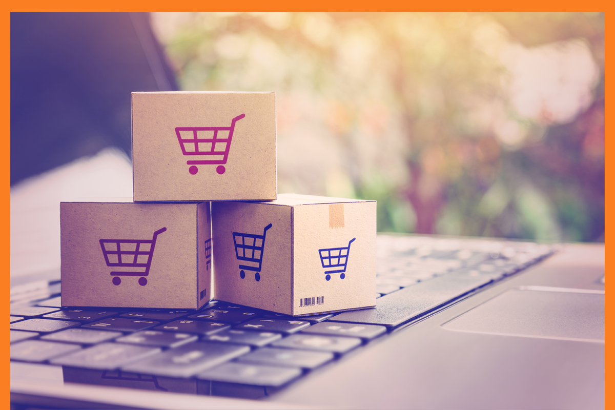 Digital Cataloging for Easy Access