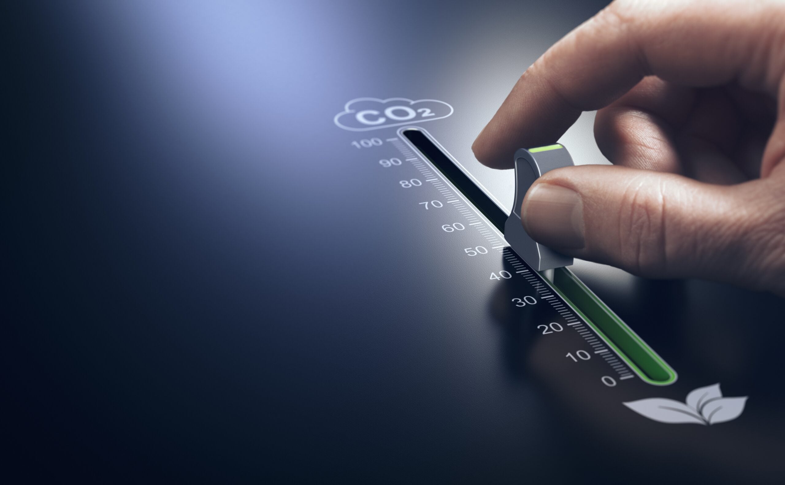 Environmental Sustainability in Web Design