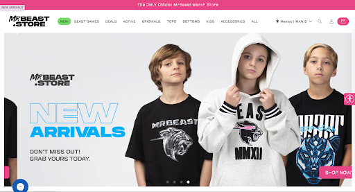 Make Engaging Website for Young Audience