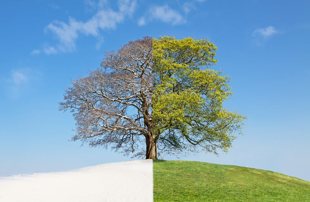 Control vs. Freedom in Branding