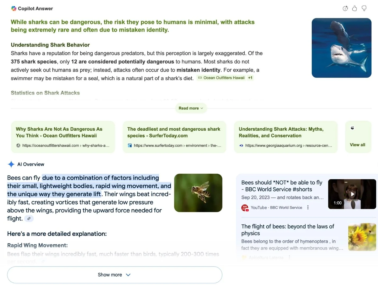 Ai search overviews