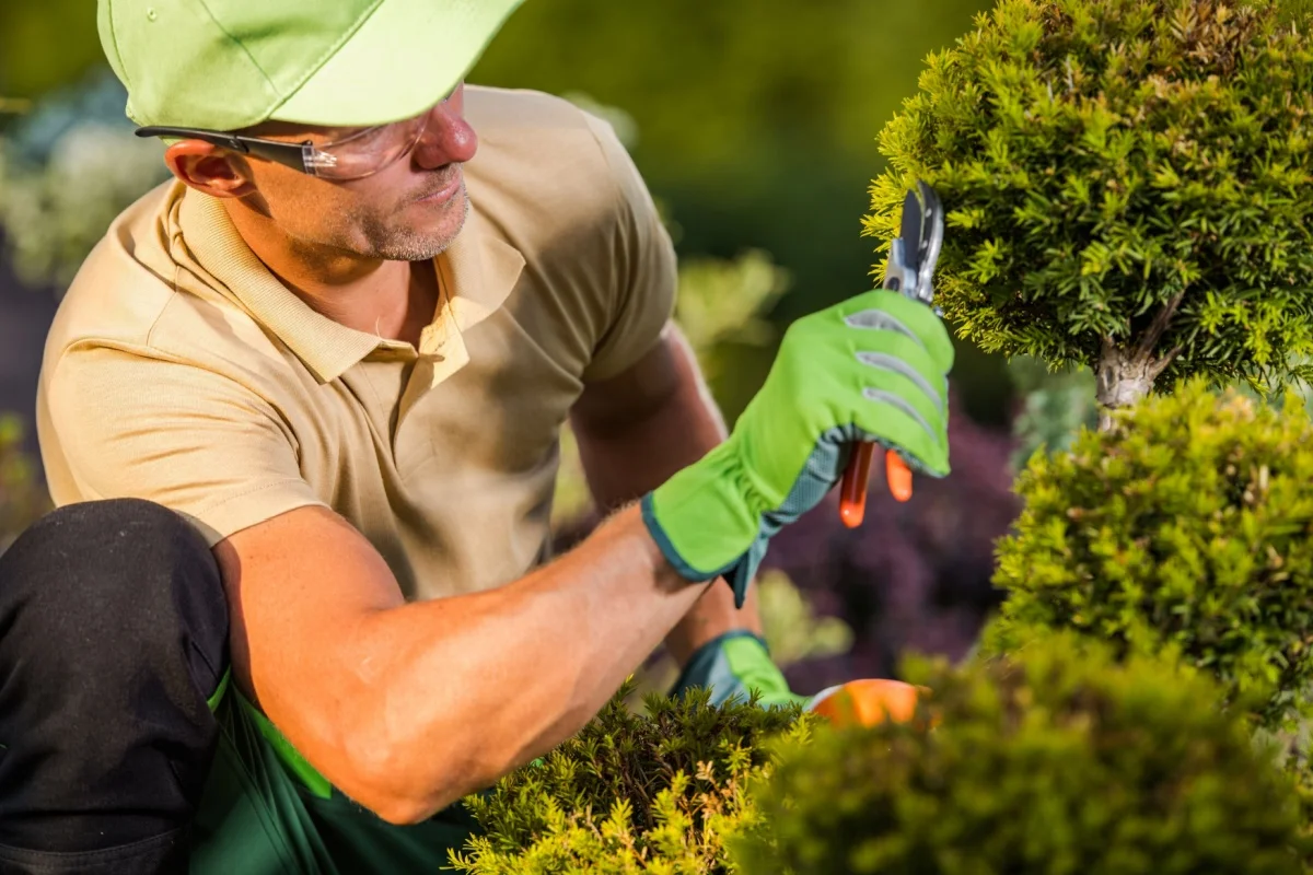 Evergreen Content Strategy to Boost Ranking
