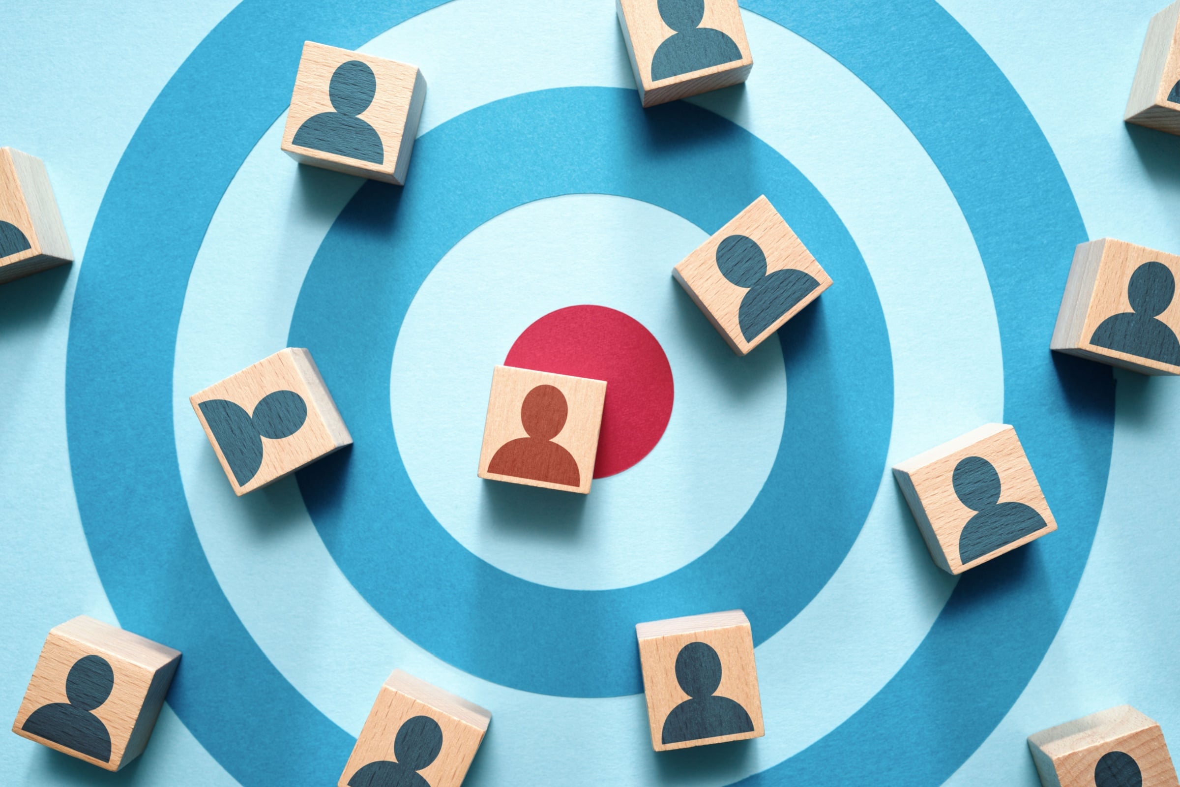 Audience Targeting Strategy