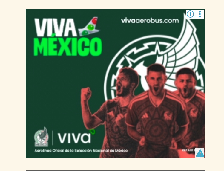 Visual Display Ads on the Websites
