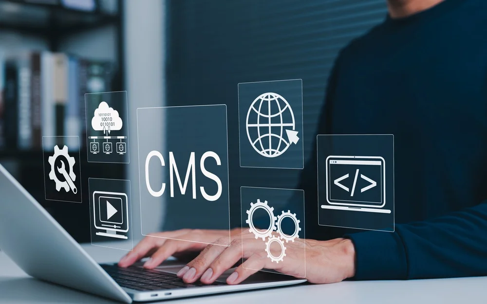 Check search engine site structure